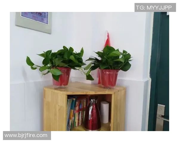 与周丽畅谈DOTA2职业生涯的点滴与挑战